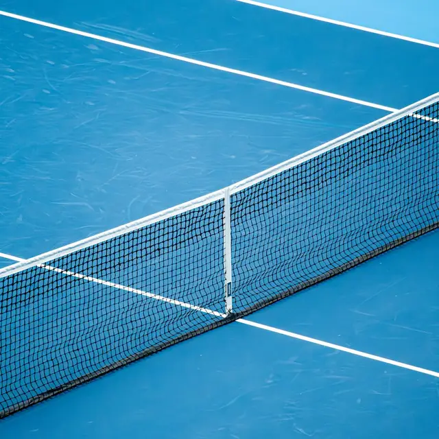 Cover: the net on a blue hard court